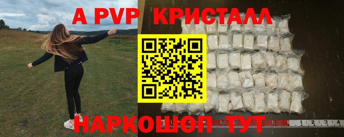 A-PVP СК КРИС Советская Гавань